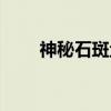 神秘石斑鱼（关于神秘石斑鱼介绍）