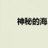 神秘的海岛（关于神秘的海岛介绍）