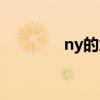 ny的意思（ny是啥意思呀）