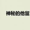 神秘的他留人（关于神秘的他留人介绍）