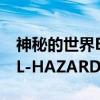 神秘的世界EL-HAZARD（关于神秘的世界EL-HAZARD介绍）
