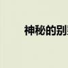 神秘的别墅（关于神秘的别墅介绍）