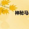神秘马甲（关于神秘马甲介绍）
