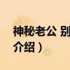 神秘老公 别玩了！（关于神秘老公 别玩了！介绍）