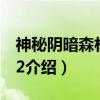 神秘阴暗森林逃脱2（关于神秘阴暗森林逃脱2介绍）