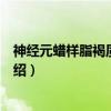 神经元蜡样脂褐质沉积症(关于神经元蜡样脂褐质沉积症介绍) 神经元蜡样脂褐质沉积症(关于神经元蜡样脂褐质沉积症介绍)