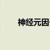 神经元因子（关于神经元因子介绍）