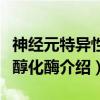 神经元特异性烯醇化酶（关于神经元特异性烯醇化酶介绍）