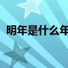 明年是什么年2023年属兔（明年是什么年）