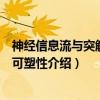 神经信息流与突触传递可塑性（关于神经信息流与突触传递可塑性介绍）