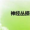 神经丛损害（关于神经丛损害介绍）