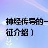 神经传导的一般性征（关于神经传导的一般性征介绍）