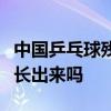 中国乒乓球残奥首金蝴蝶翅膀上的粉调了还能长出来吗