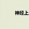 神经上皮(关于神经上皮介绍) 神经上皮(关于神经上皮介绍)