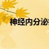 神经内分泌癌（关于神经内分泌癌介绍）
