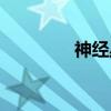 神经丛（关于神经丛介绍）