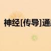 神经[传导]通路（关于神经[传导]通路介绍）