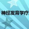 神经发育学疗法（关于神经发育学疗法介绍）
