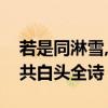 若是同淋雪,此生也算共白头全诗（此生也算共白头全诗）