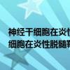 神经干细胞在炎性脱髓鞘疾病中的作用及机制（关于神经干细胞在炎性脱髓鞘疾病中的作用及机制介绍）