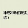 神经冲动在反弧上的传导（关于神经冲动在反弧上的传导介绍）