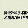 神经外科手术图谱/脊柱与周围神经分册（关于神经外科手术图谱/脊柱与周围神经分册介绍）