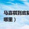 马嘉祺到底复不复读高三（马嘉祺高中复读选哪里）