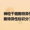 神经干细胞特异性标识分子及调控机制研究（关于神经干细胞特异性标识分子及调控机制研究介绍）