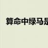 算命中绿马是什么意思（绿马是什么意思）