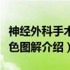 神经外科手术彩色图解（关于神经外科手术彩色图解介绍）