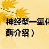 神经型一氧化氮合酶（关于神经型一氧化氮合酶介绍）