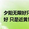 夕阳无限好只是近黄昏相反的诗句（夕阳无限好 只是近黄昏）
