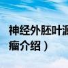 神经外胚叶源性肿瘤（关于神经外胚叶源性肿瘤介绍）
