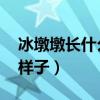 冰墩墩长什么样子 百度网盘（冰墩墩长什么样子）
