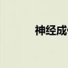 神经成像(关于神经成像介绍) 神经成像(关于神经成像介绍)