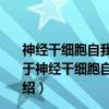 神经干细胞自我更新及分化相关的细胞表面糖蛋白研究（关于神经干细胞自我更新及分化相关的细胞表面糖蛋白研究介绍）