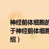 神经前体细胞的增殖、分化及移植治疗帕金森病的研究（关于神经前体细胞的增殖、分化及移植治疗帕金森病的研究介绍）