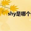 shy是哪个队伍的（shy是哪个战队的）