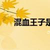 混血王子是谁的孩子（混血王子是谁）