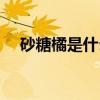 砂糖橘是什么样子（炫砂糖橘什么意思）
