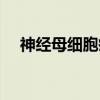 神经母细胞瘤（关于神经母细胞瘤介绍）