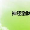 神经激肽A(关于神经激肽A介绍) 神经激肽A(关于神经激肽A介绍)