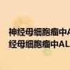 神经母细胞瘤中ALK基因异常的分子机制及其作用（关于神经母细胞瘤中ALK基因异常的分子机制及其作用介绍）