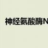 神经氨酸酶NA（关于神经氨酸酶NA介绍）