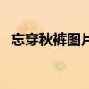 忘穿秋裤图片大全（忘穿秋裤是什么意思）