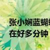 张小娴蓝蝴蝶之吻结局（蝴蝶之吻 蓝燕出现在好多分钟）