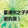 霍迪尔之子声望仇恨了怎么办（霍迪尔之子声望仇恨）