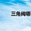 三角阀哪个品牌质量最好（三角阀）
