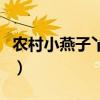 农村小燕子丫西瓜视频（谭微为什么叫燕子啊）