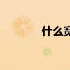 什么宽带好（宽带通怎么样）